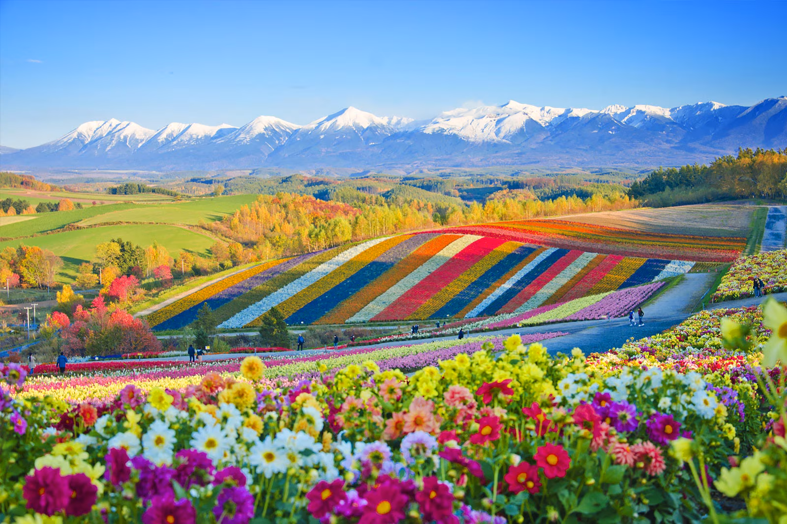 Hokkaido